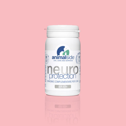 NeuroProtection - Supporto cognitivo per Cani