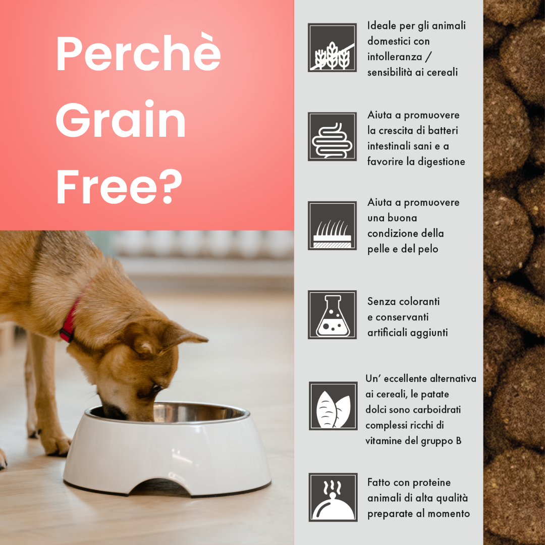 Crocchette cane adulto con Omega 3. - pelo lucido e digestione sana