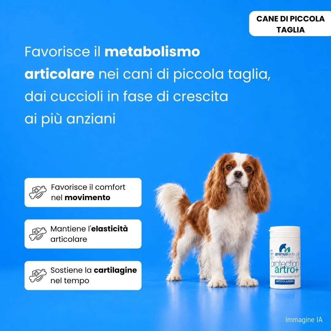 Integratore articolare per cani di piccola taglia, favorisce metabolismo e mobilità, con Cavalier King in primo piano