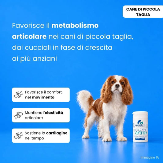 Integratore articolare per cani di piccola taglia, favorisce metabolismo e mobilità, con Cavalier King in primo piano
