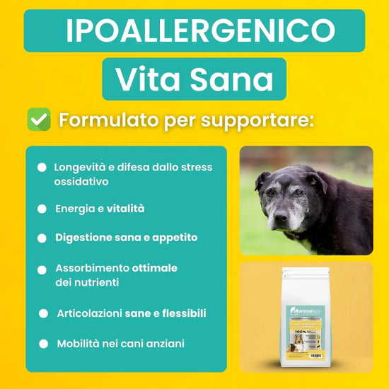 Cibo per cani anziani che perdono energia e tono muscolare