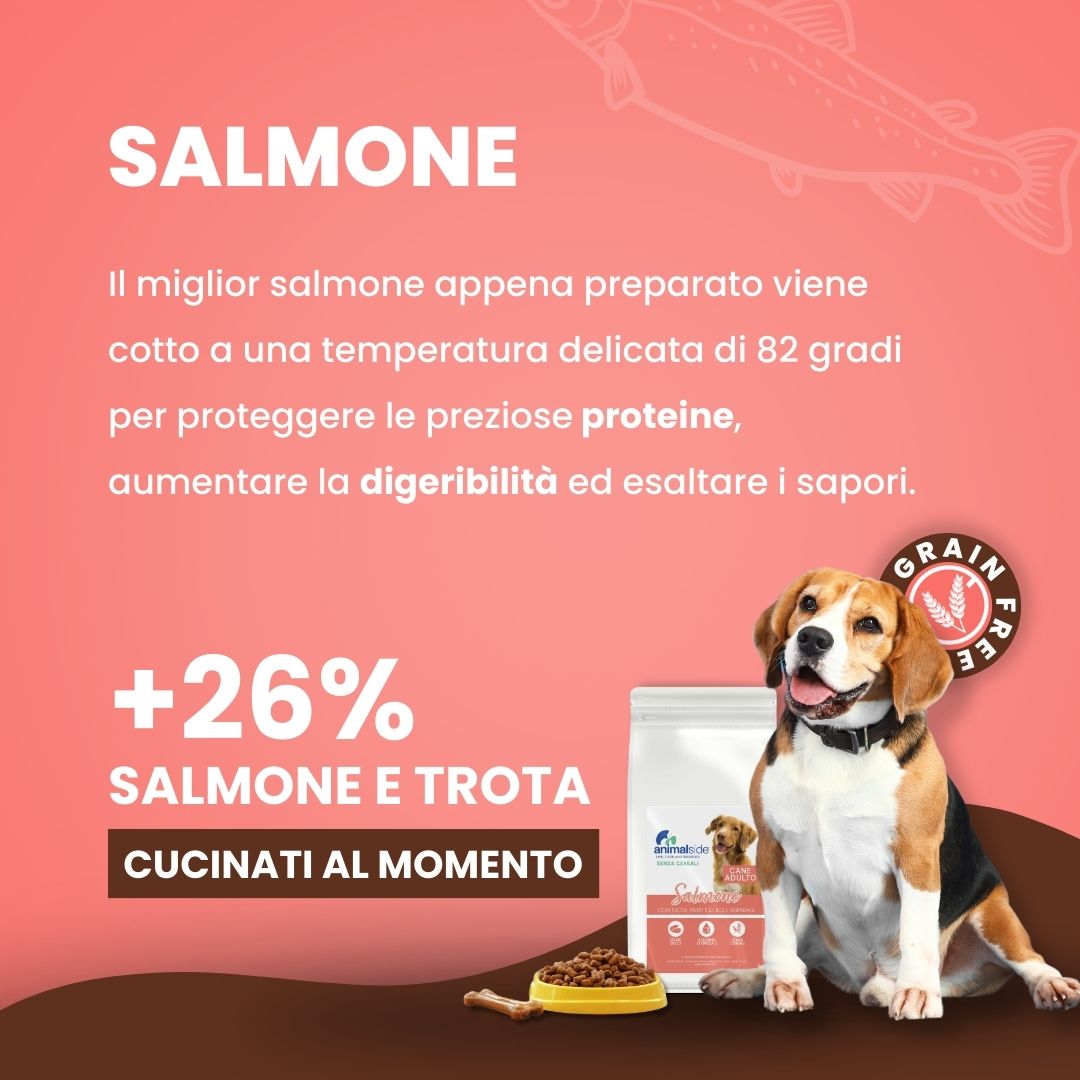 Cibo per cani sensibili grain free con salmone e trota Human grade