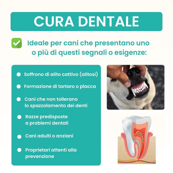 Cibo per cani per prevenire il tartaro senza spazzolino