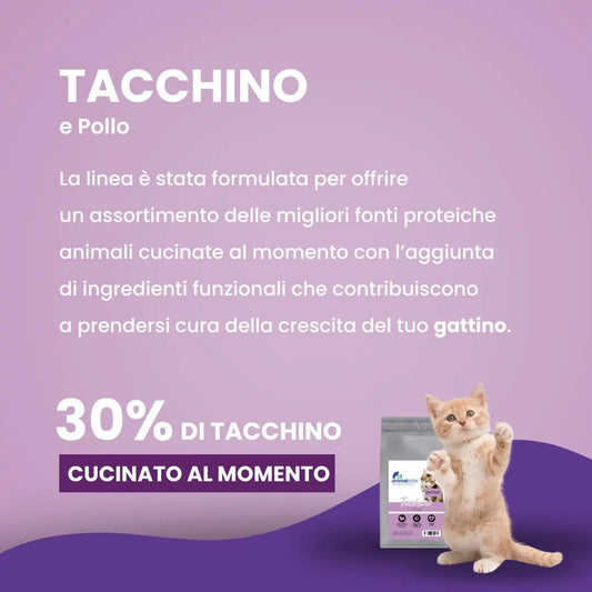 Crocchette per gattini al tacchino