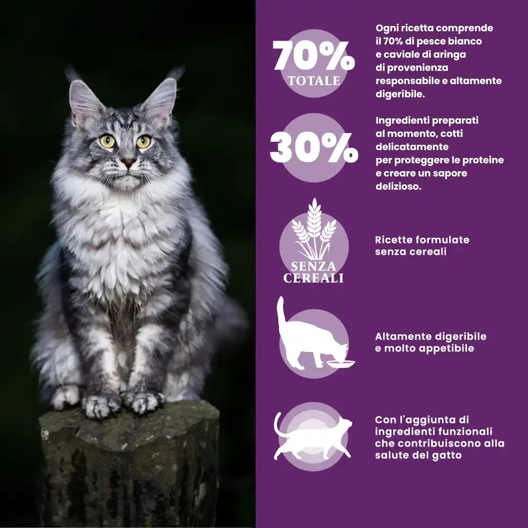 Crocchetta per ridurre i boli di pelo nel gatto