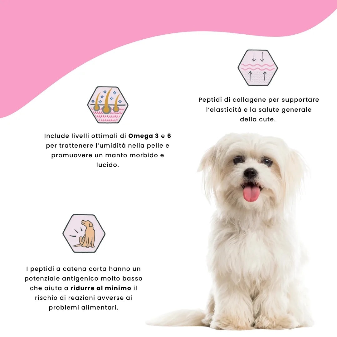 Crocchette dermatologiche per cani con pelo fragile e cute sensibile
