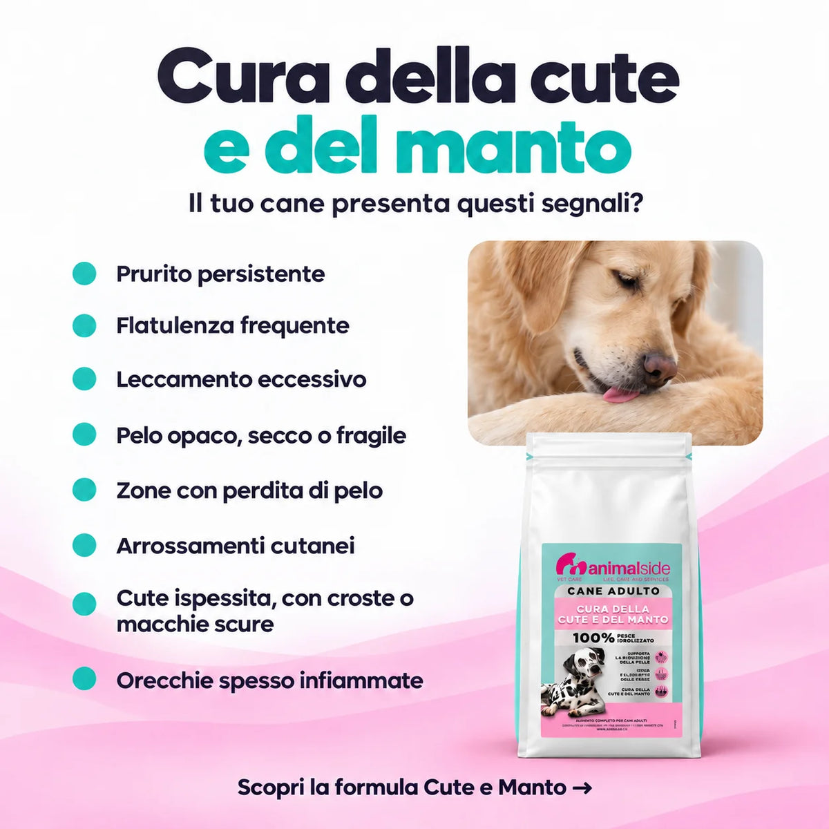 Cura della cute e del manto per cani: prodotto per prurito, perdita di pelo, pelle secca e infiammazioni