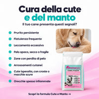 Cute e Manto: i segnali di prurito, leccamento e pelo opaco