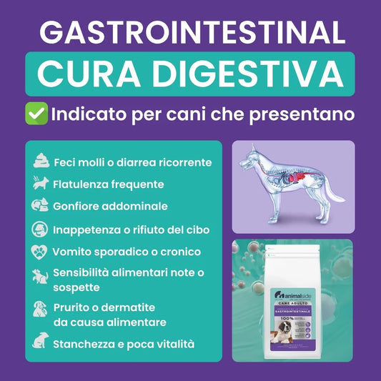 Infografica con sintomi digestivi nei cani: diarrea, vomito, gonfiore, flatulenza – Peptide+ Cura Digestiva