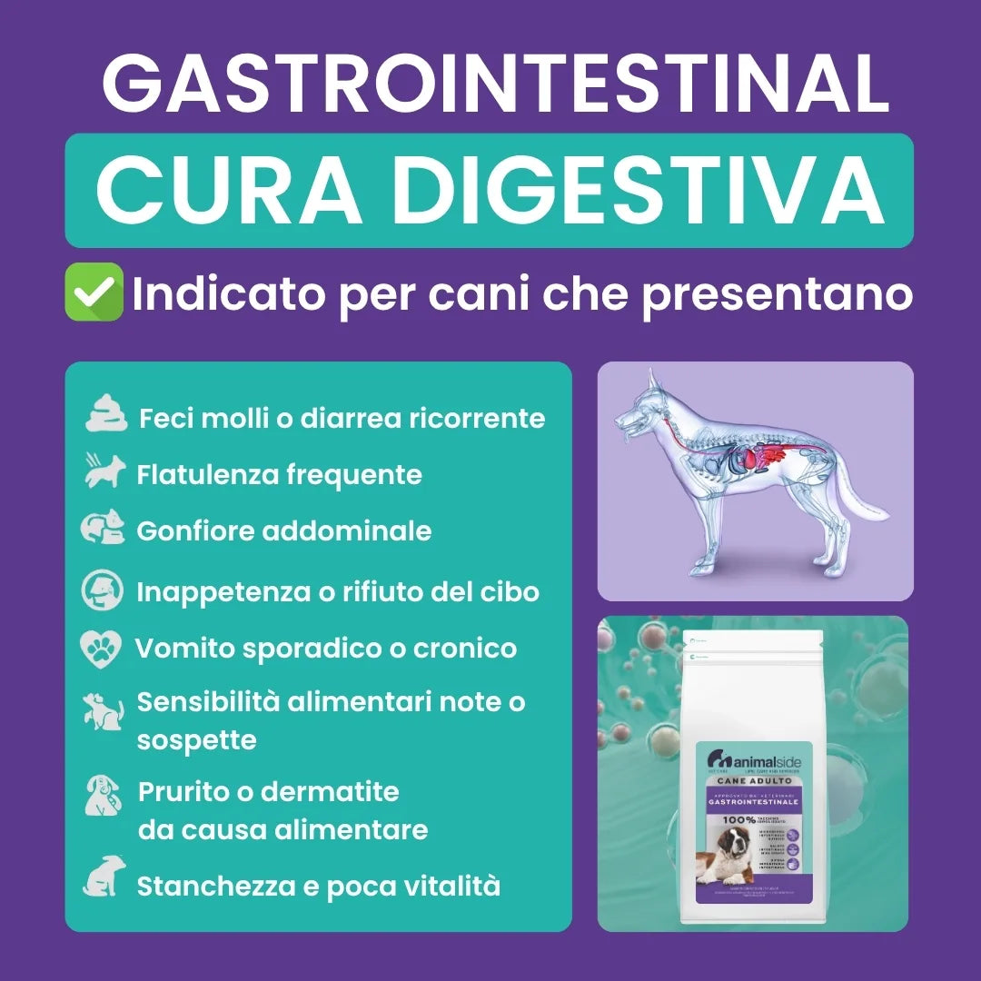 Infografica con sintomi digestivi nei cani: diarrea, vomito, gonfiore, flatulenza – Peptide+ Cura Digestiva