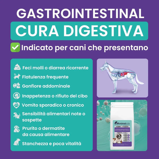 Infografica con sintomi digestivi nei cani: diarrea, vomito, gonfiore, flatulenza – Peptide+ Cura Digestiva