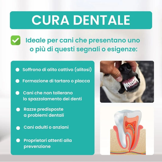 Cibo per cani per prevenire il tartaro senza spazzolino