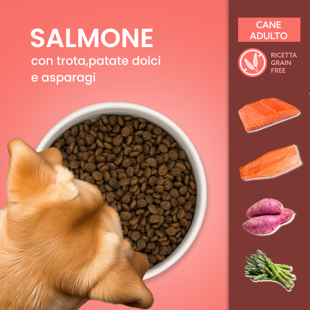 Ingredienti crocchette cane salmone trota patate dolci senza cereali- Animalside