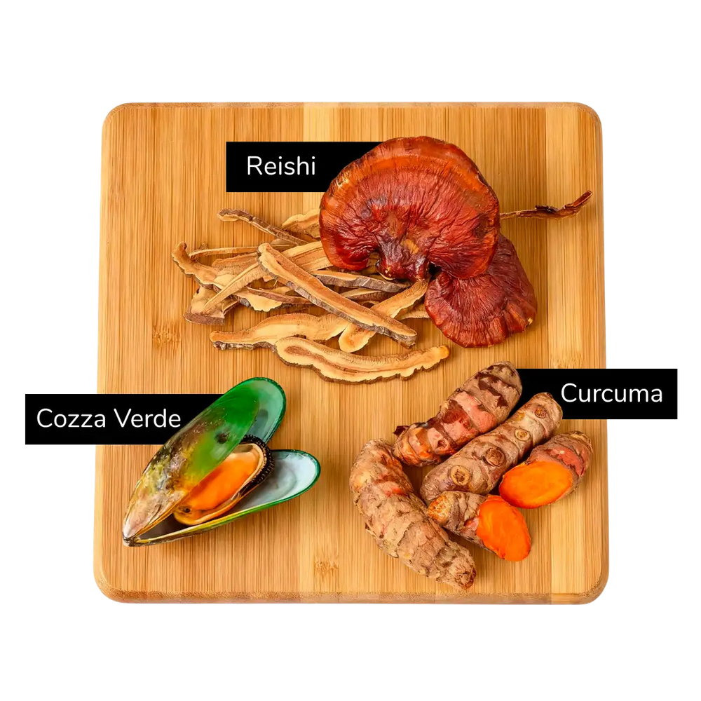 Reishi, cozza verde e curcuma su un tagliere