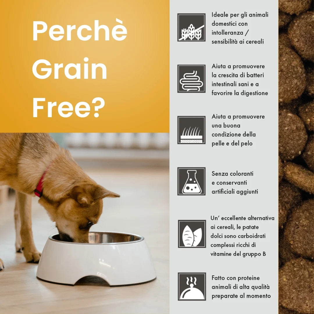 Linea Grain Free - Tacchino con Patate Dolci e Mirtilli Rossi - Cane Adulto