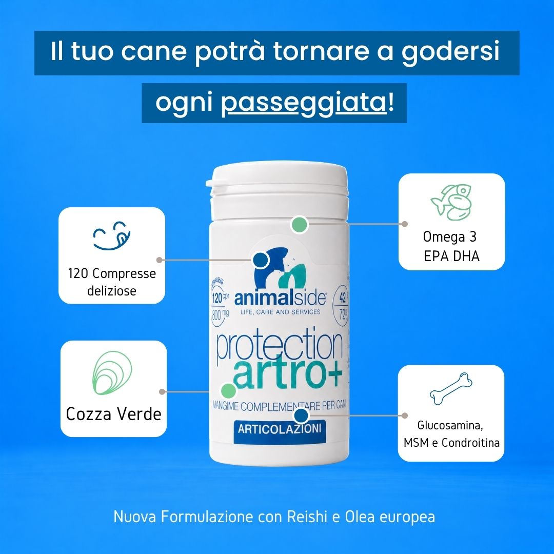 Integratore articolare per cani con Omega 3, Glucosamina, MSM, Condroitina e Cozza Verde - 120 compresse