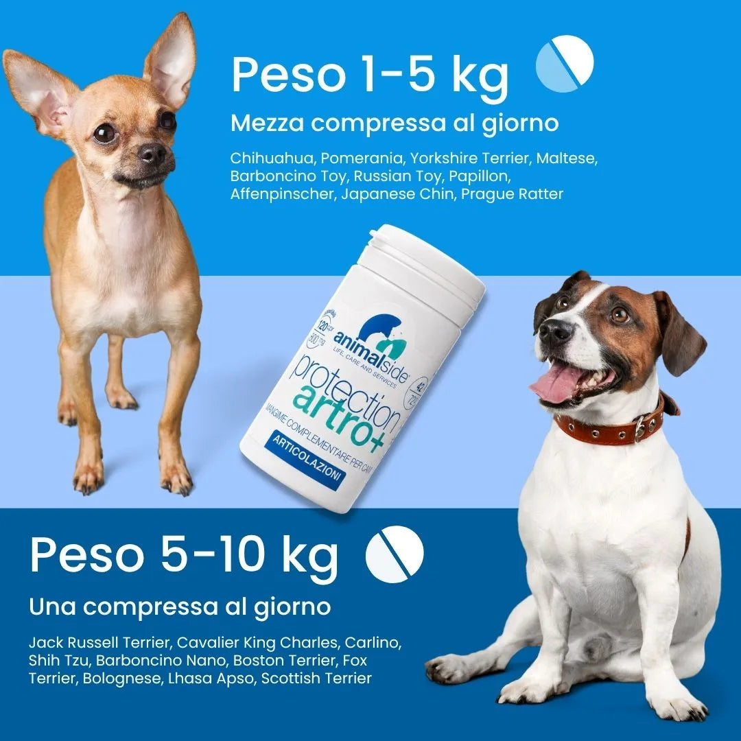 Integratore articolare per cani small e medium, con dosaggio per peso 1-5kg e 5-10kg, ideale per Chihuahua, Jack Russell e simili