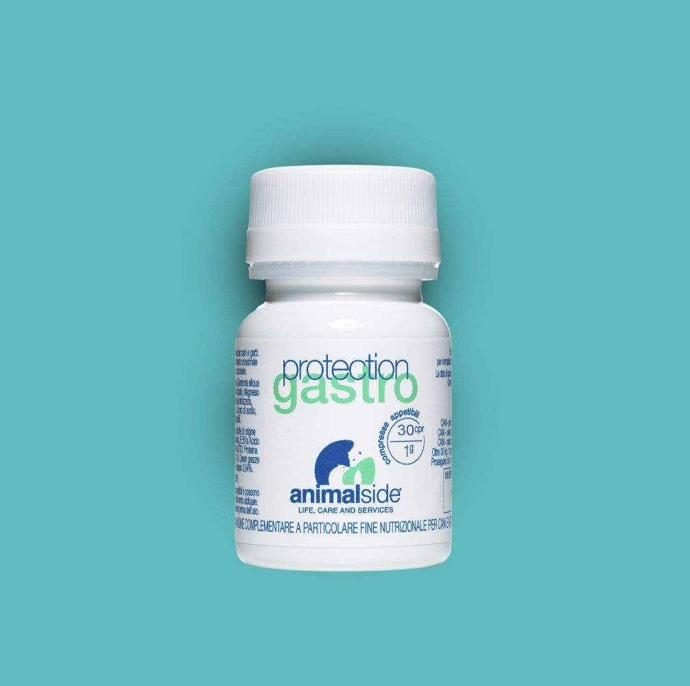 Integratore ProtectionGastro per il benessere intestinale di cani e gatti - supporto digestivo. Ristabilire la funzione digestiva, diarrea acuta e cronica