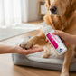 Alternativa al clorexyderm - Schiuma igienizzante per cani 