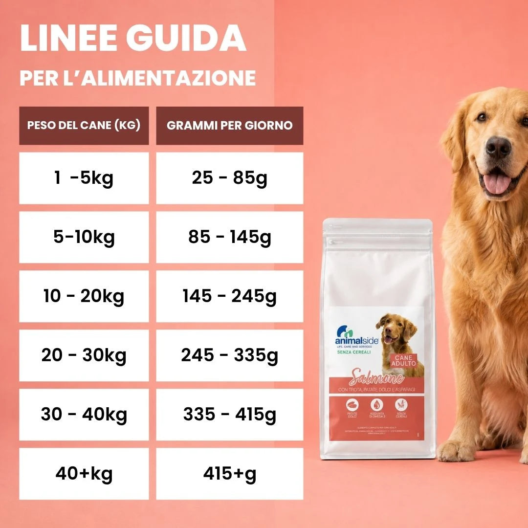 Quante crocchette deve mangiare il Golden retrivier? Animalside