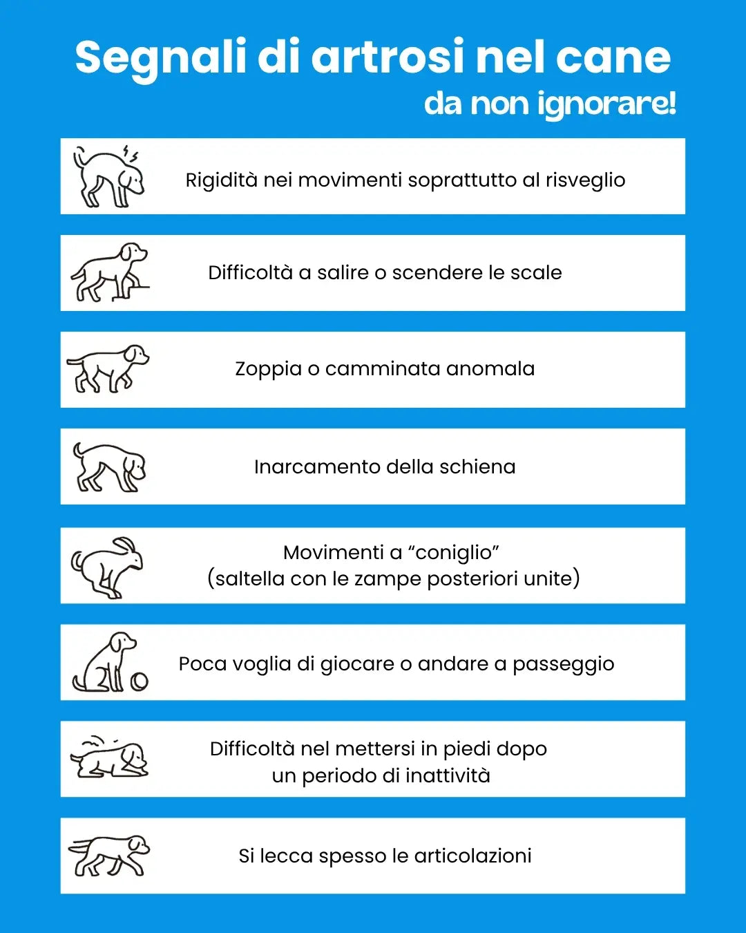 Segnali artrosi cane da non ignorare