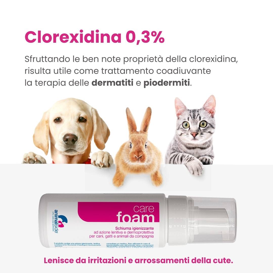 Clorexidina Cane: lenisce da irritazioni e arrossamenti della cute.