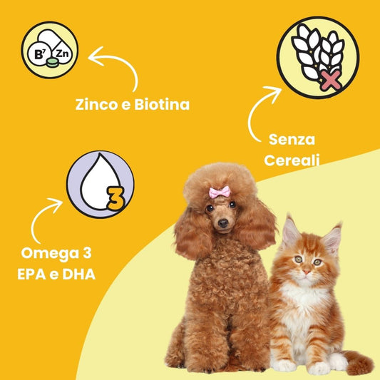 Snack con Omega 3 per la salute del pelo nei cani e gatti, supporto naturale per una cute idratata e morbida.