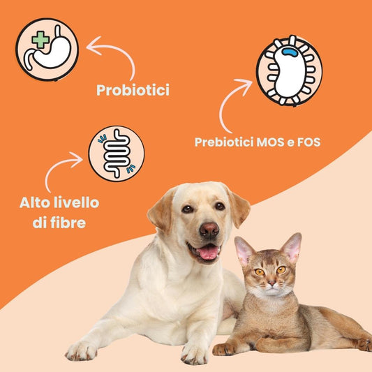 Supporto digestivo naturale per animali, snack con prebiotici per cani e gatti con problemi di digestione.