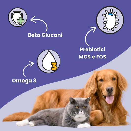 Supporto immunitario per animali domestici, snack con nucleotidi e Omega 3 per aiutare le difese naturali di cani e gatti.