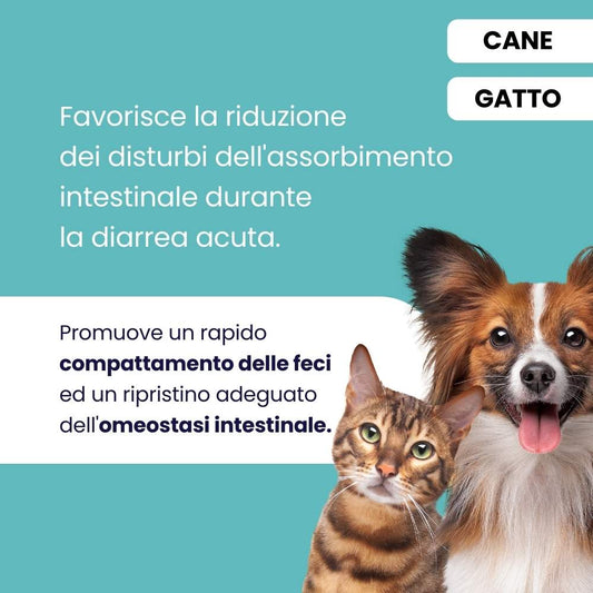 ProtectionGastro integratore per il trattamento di disturbi digestivi acuti e cronici in cani e gatti