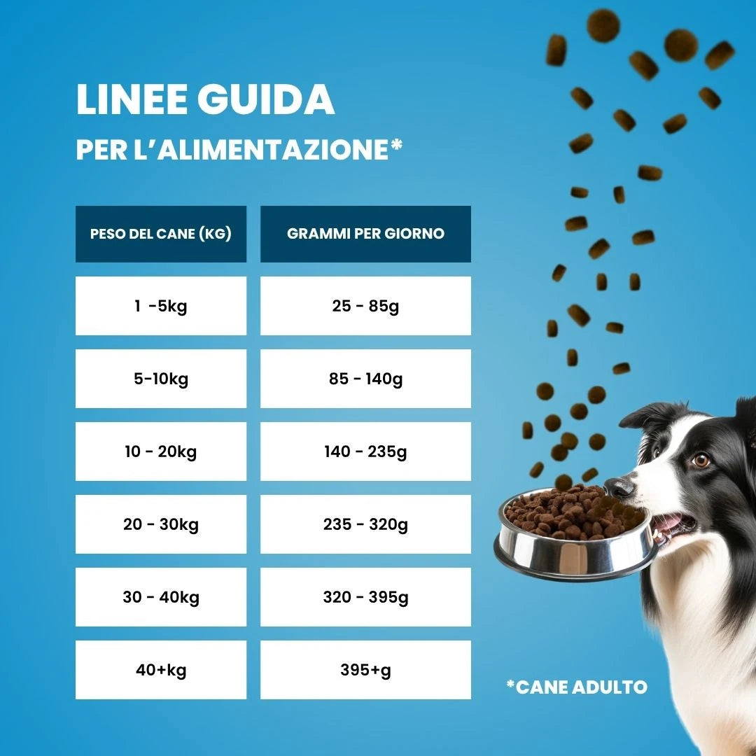 Quante crocchette dare al cane al giorno — tabella dosaggio crocchette grain free Maiale Patate Dolci Animalside per cane adulto