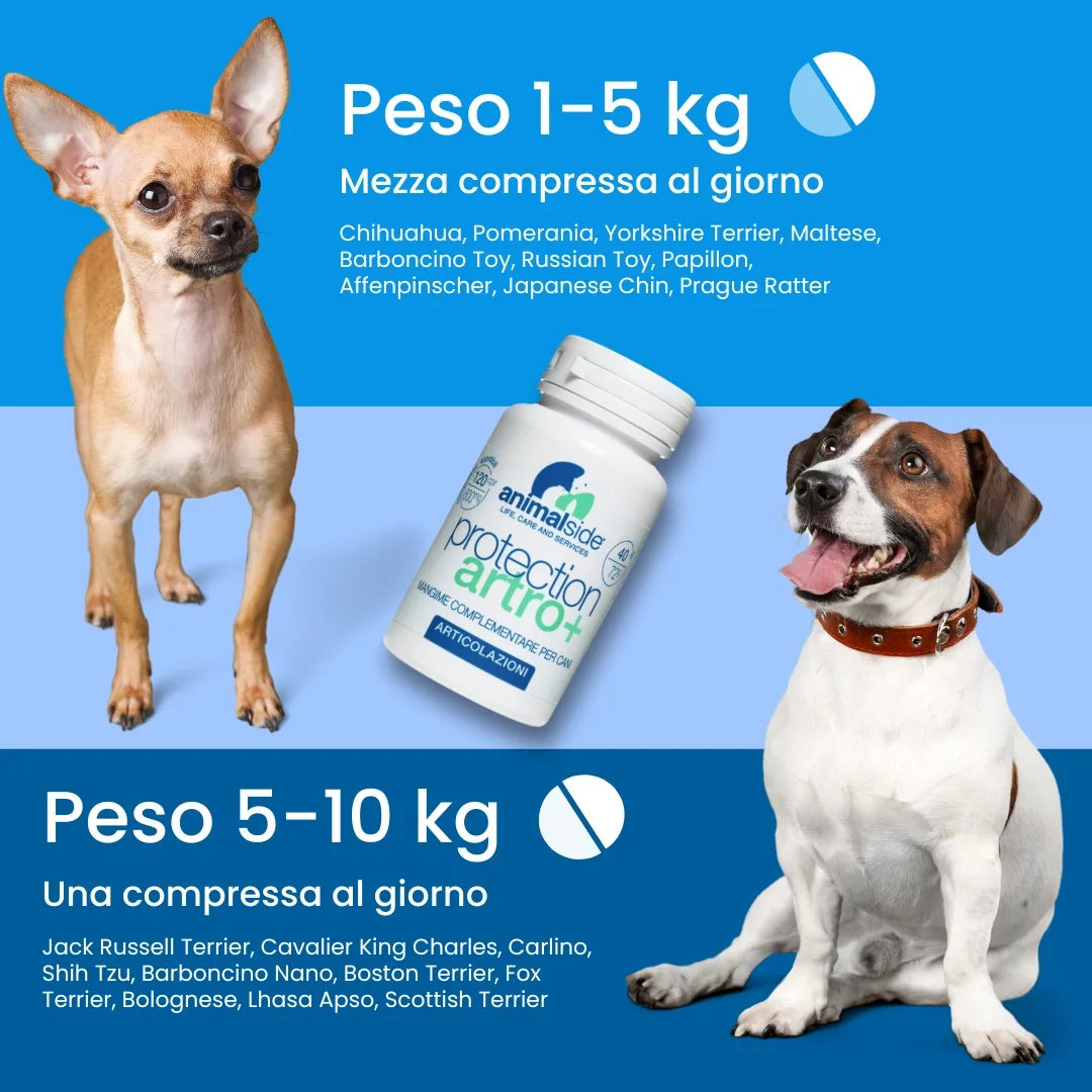 ProtectionArtro+ 600mg  Condroprotettore per Cani di taglia Piccola