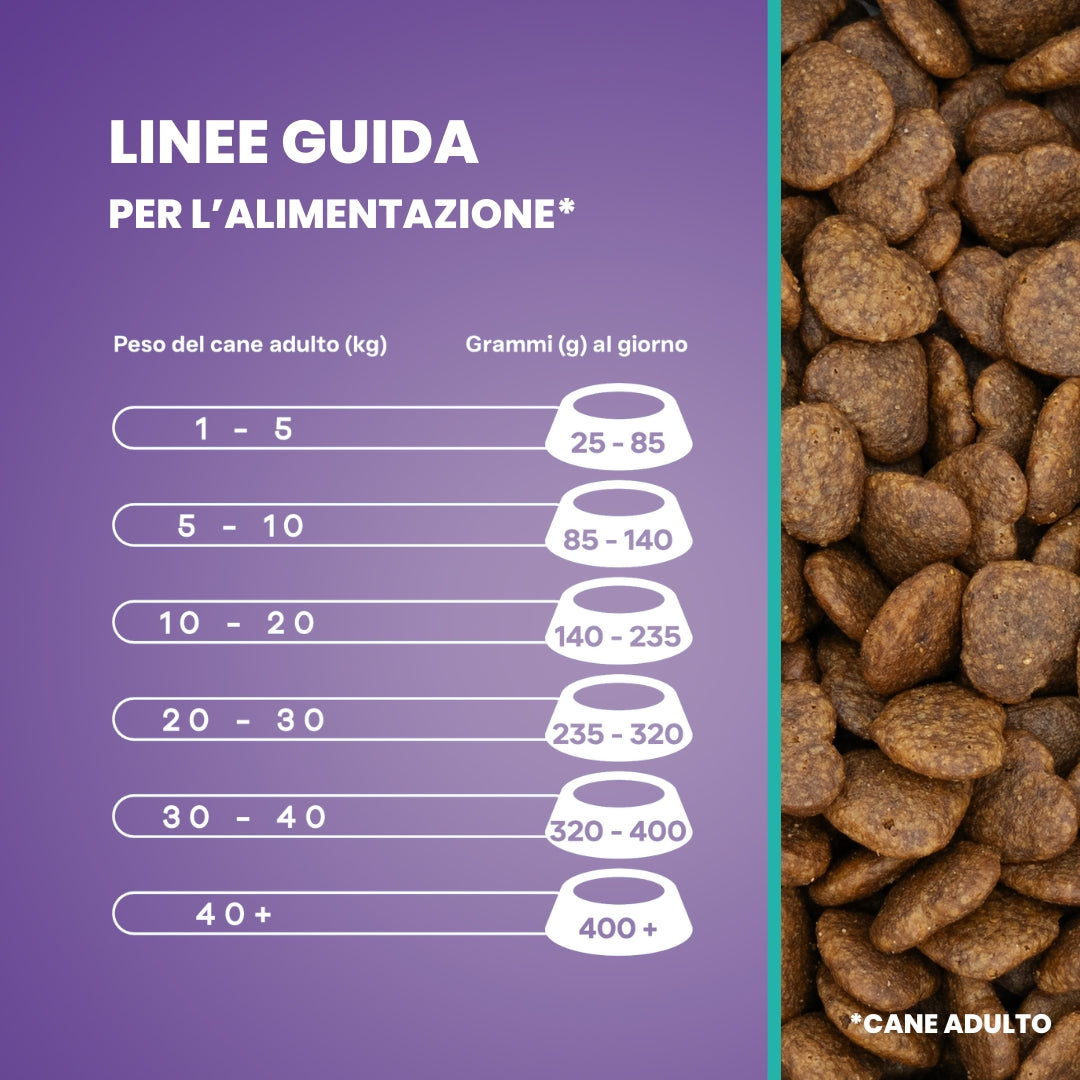 Linee guida per l'alimentazione di un cane adulto - cibo secco Animalside
