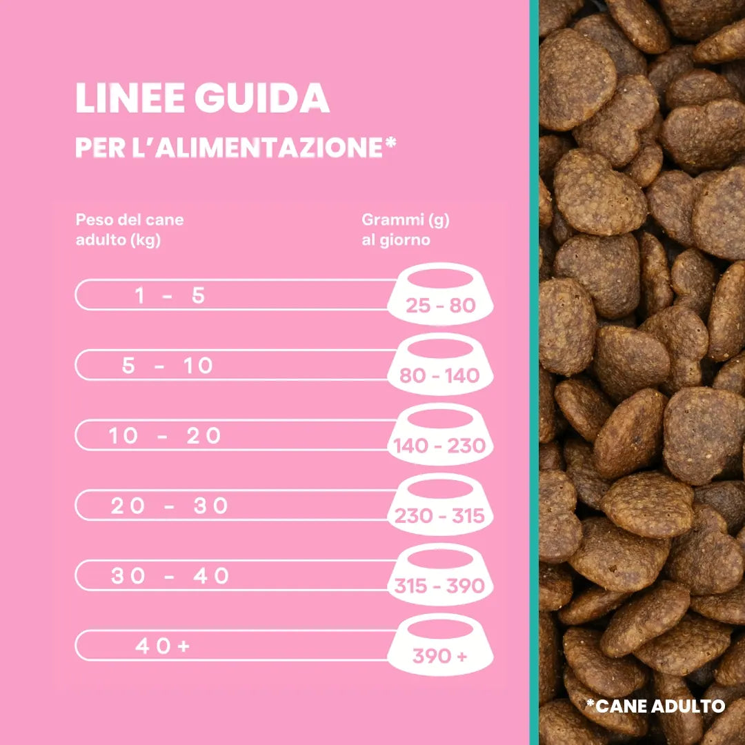 Crocchette Cute e Manto al Salmone - Cane Adulto - Proteine idrolizzate - Grain Free