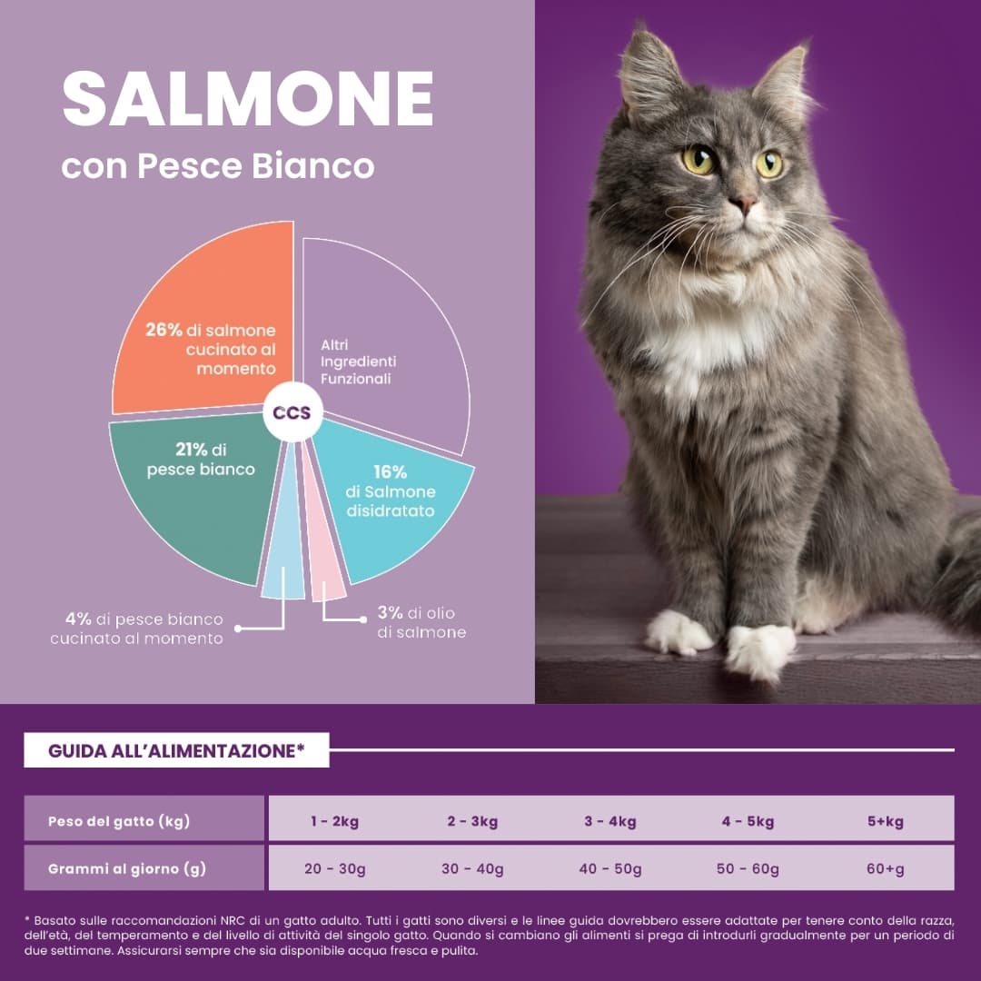 Guida all'alimentazione del gatto adulto sterilizzato