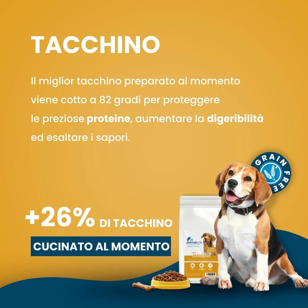 Linea Grain Free - Tacchino con Patate Dolci e Mirtilli Rossi - Cane Adulto