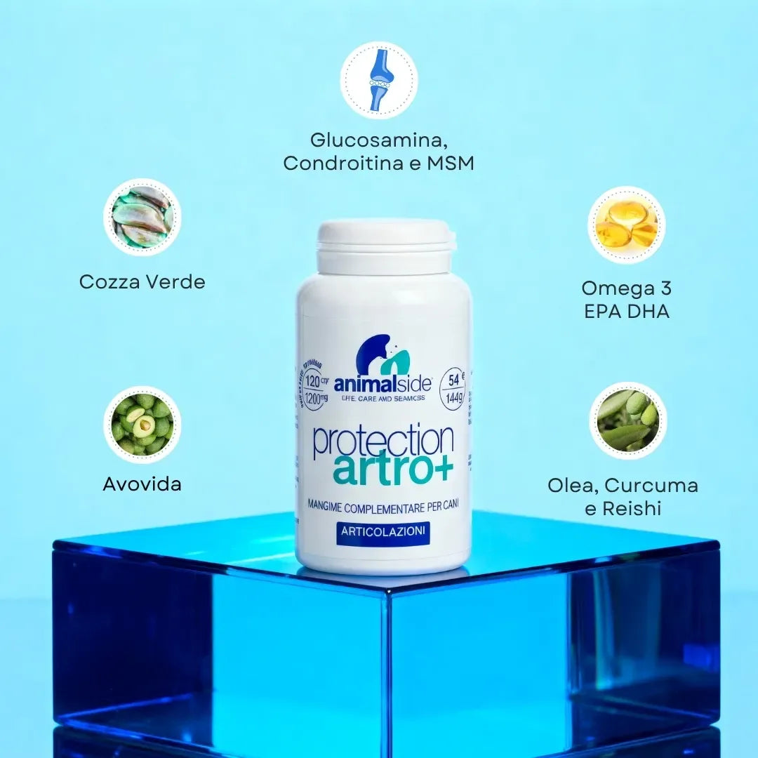 ProtectionArtro+ 1200mg  Condroprotettore per Cani di taglia Media e Grande (Nuova Formulazione)