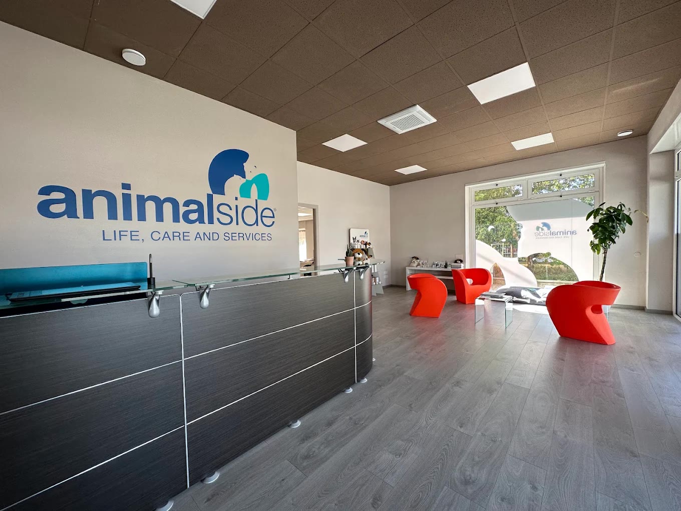 La reception del negozio Animalside di Beinette