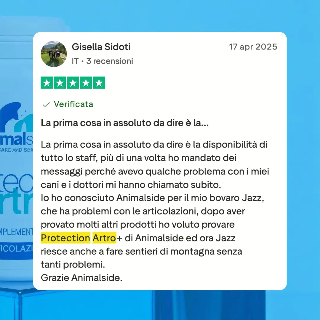 ProtectionArtro+ 1200mg  Condroprotettore per Cani di taglia Media e Grande (Nuova Formulazione)